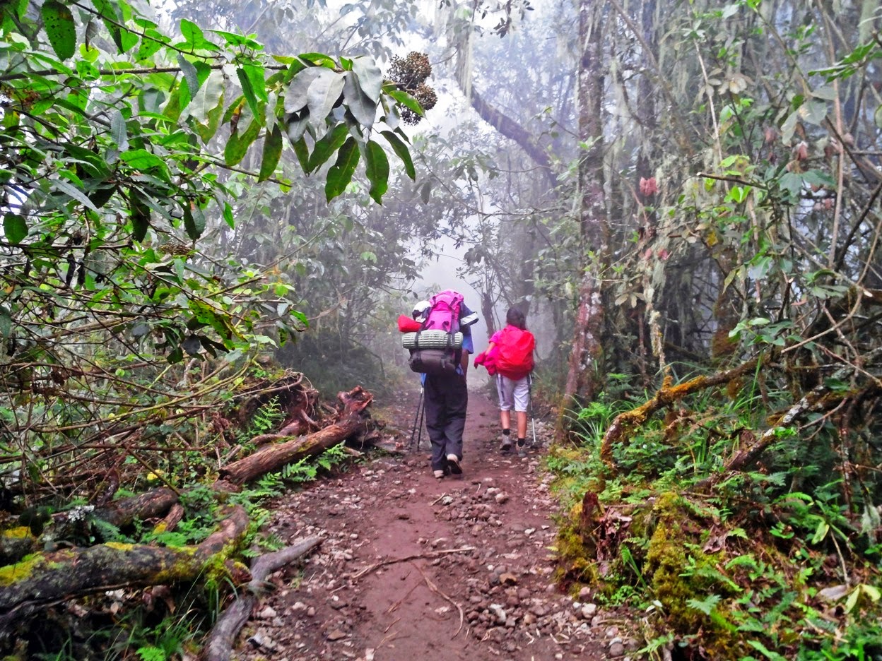 Kilimanjaro climate zones