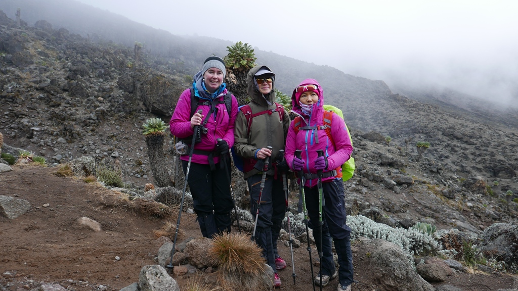 Kilimanjaro corporate climbs