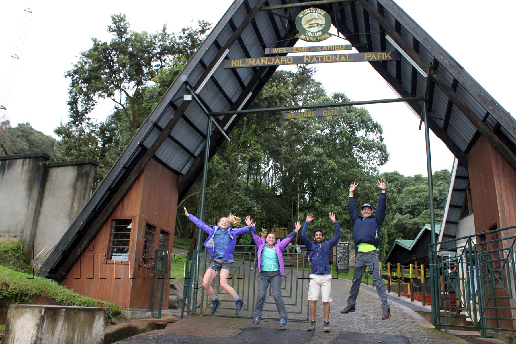 Kilimanjaro tourists