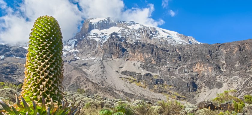 Kilimanjaro frequently asked questions