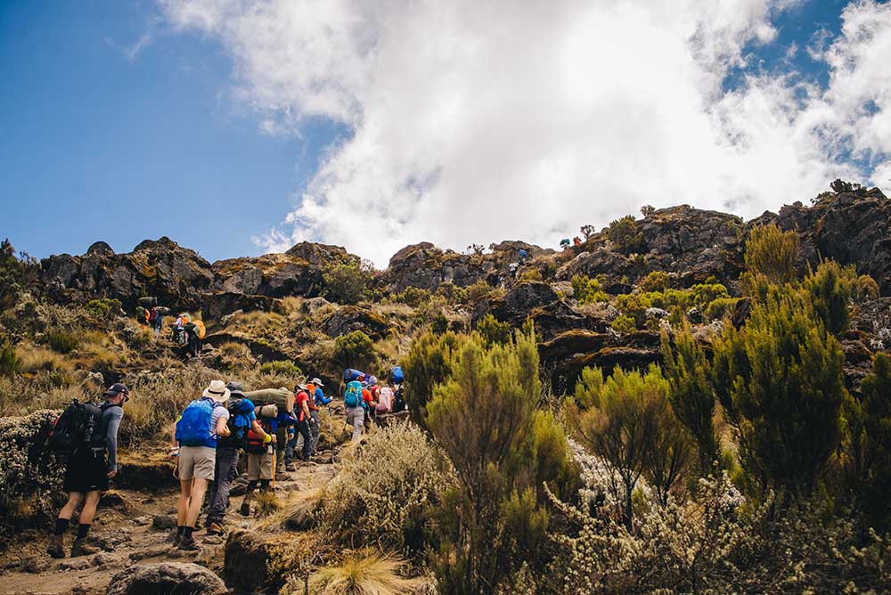 private Kilimanjaro climbs