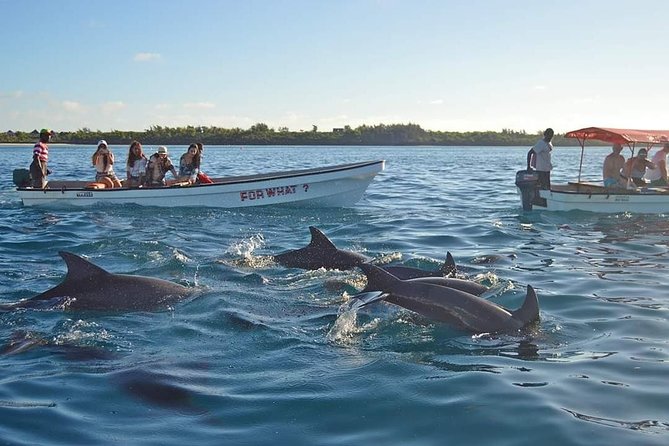 Zanzibar Dolphin tour
